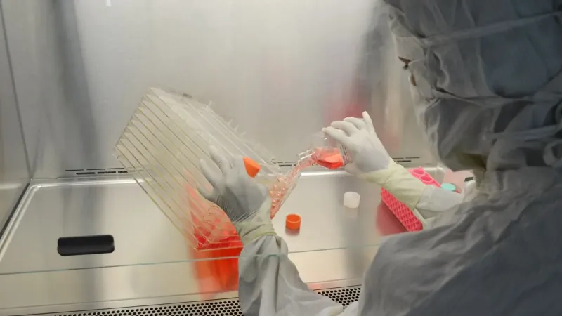 By 2049, Engineered Bacteriophages Will Become Part Of Standard Clinical Protocols For Treating Antibiotic-resistant Bacterial Infections.
