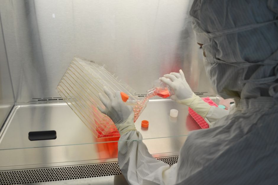 2049 Yılına Kadar Düzenlenmiş Bakteriyofajlar, Antibiyotiğe Dirençli Bakteriyel Enfeksiyonların Tedavisinde Standart Klinik Protokollerin Parçası Haline Gelecek.