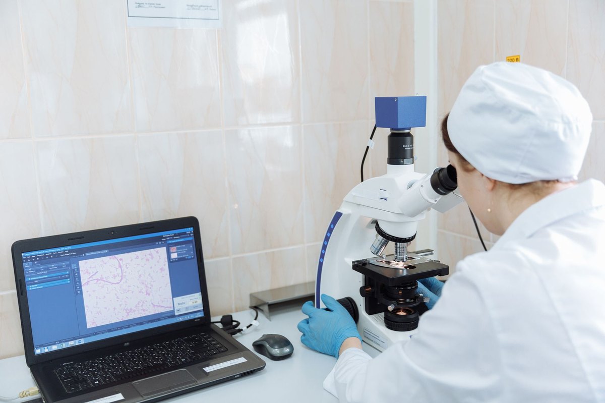 Kültür Eti (Laboratuvarda Hücre Kültüründen Üretilen Et) Üretim Maliyeti Kilogram Başına 10 Avronun Altına İnerek Geleneksel Ete Yaklaşık Fiyat Paritesine Ulaşacak.