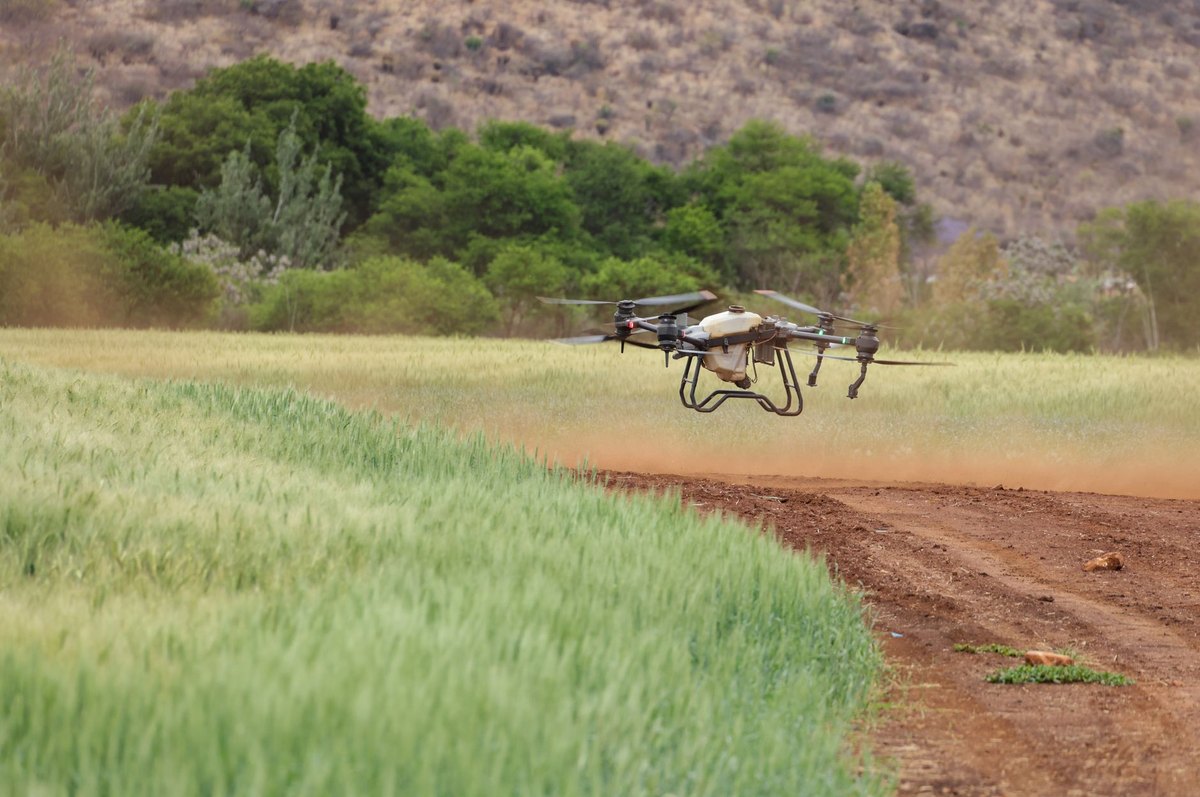 Otonom Drone Sürüleri Sınır Güvenliği Ve Keşif Görevlerinde Kullanılır.
