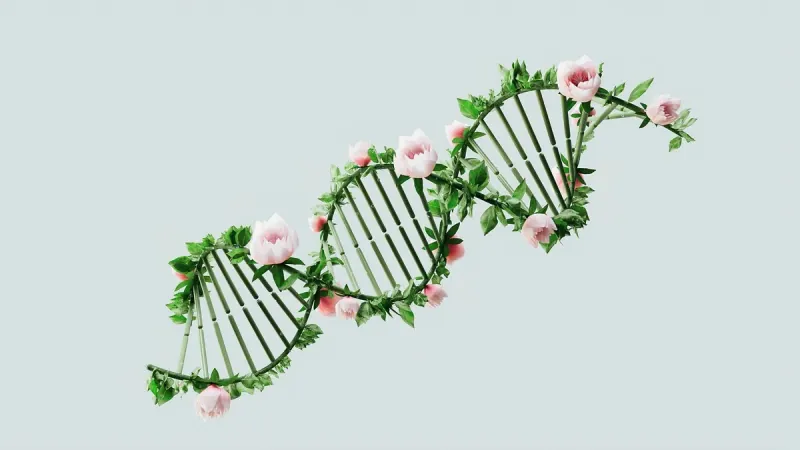 The First Gene Therapy Developed With Base-editing Technology Will Receive Regulatory Approval For Sickle Cell Disease Or Beta Thalassemia. The First Gene Therapy Developed With Base-editing Technology Will Receive Regulatory Approval For Sickle Cell Disease Or Beta Thalassemia.