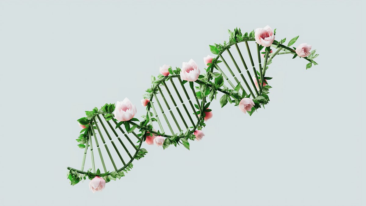 The First Gene Therapy Developed With Base-editing Technology Will Receive Regulatory Approval For Sickle Cell Disease Or Beta Thalassemia.