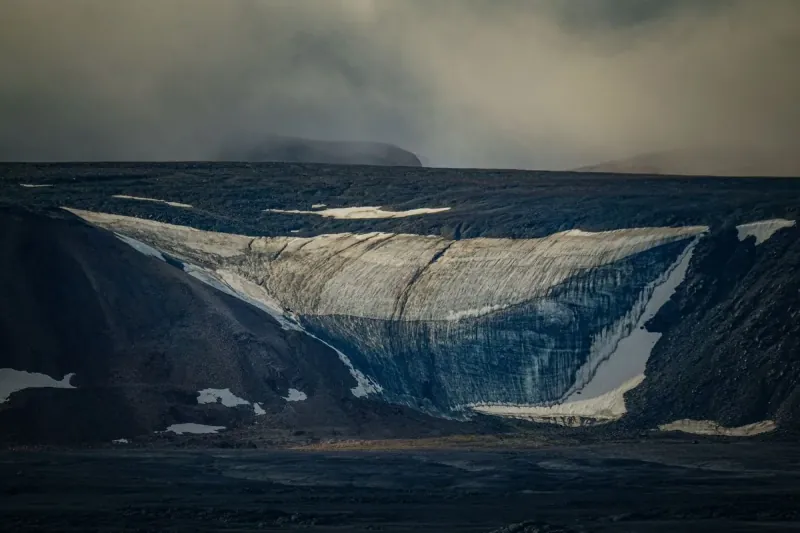 Global Carbon Emissions Fall To 50% Of 2010 Levels.