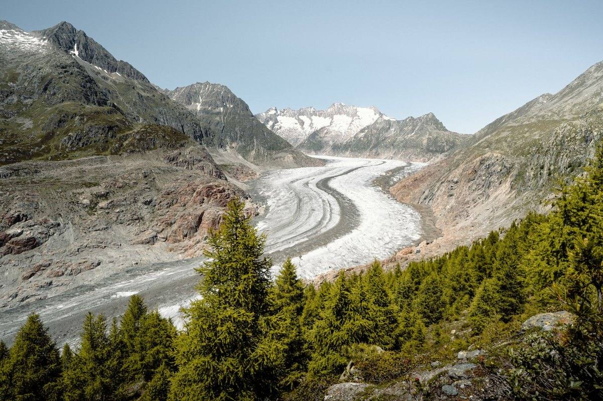 Global Carbon Emissions Fall To Zero.