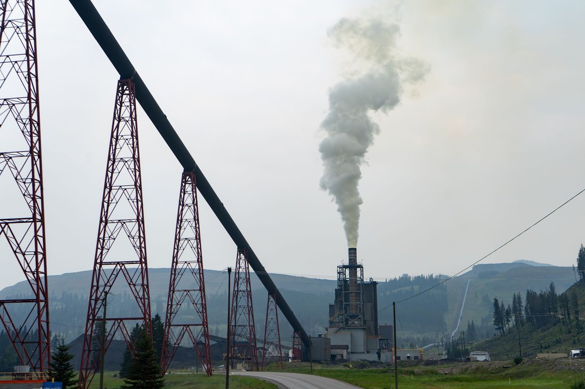 Karbon Giderme (CDR) Kapasitesinin 8,8 GtCO2/yıl'a Ulaşması