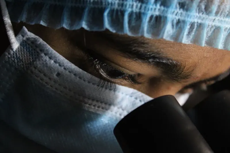 Brain Mapping Projects Are Expected To Map A Substantial Portion Of The Human Brain.
