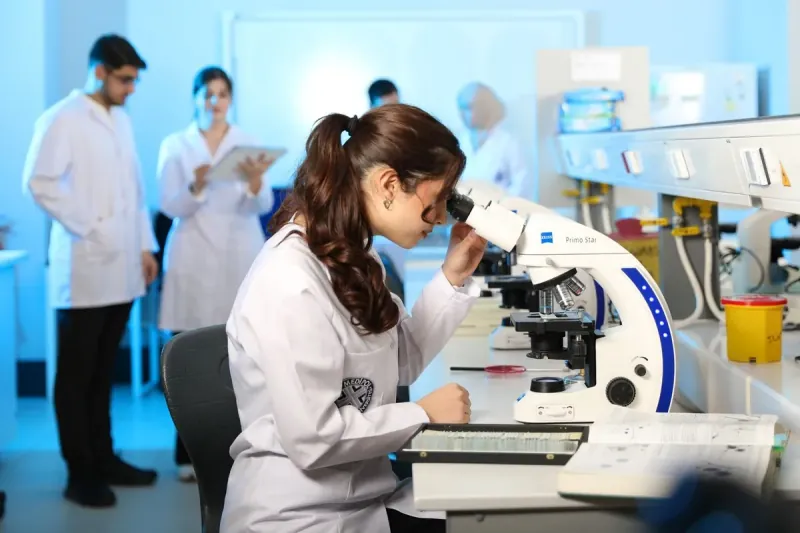 Brain Mapping Projects Are Expected To Map A Large Portion Of The Human Brain.