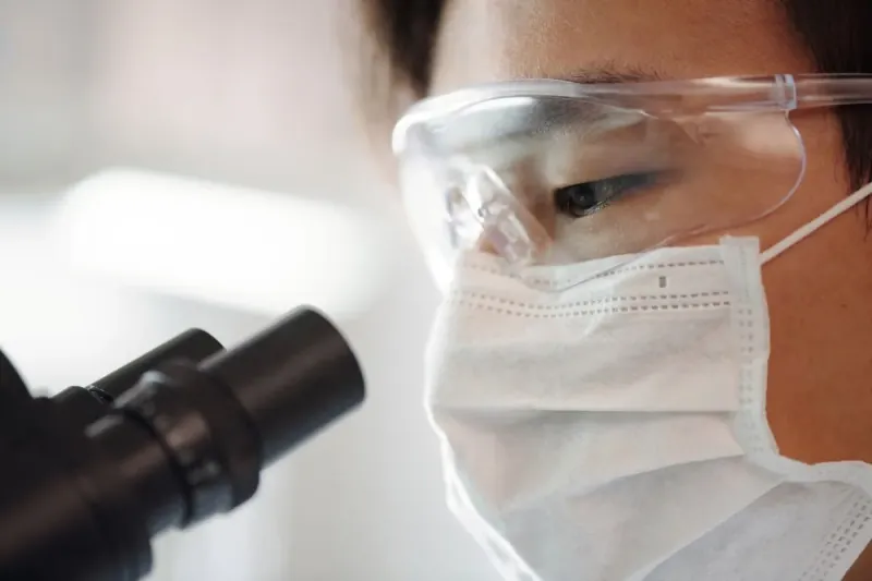 Brain Mapping Projects Are Expected To Map Nearly The Entire Human Brain.