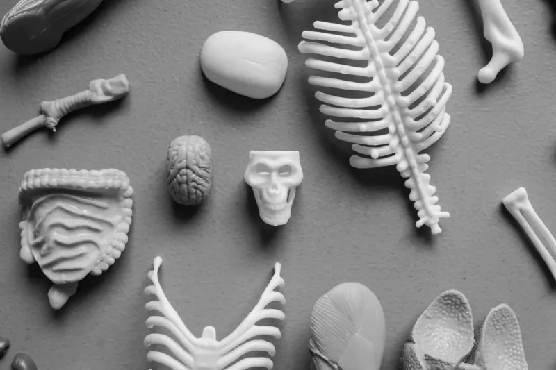 Neuroimplants Are Expected To Substantially Increase Memory And Learning Capacity.