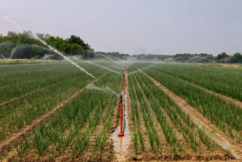 Smart Irrigation Systems Will Reduce Agricultural Water Use By 40%