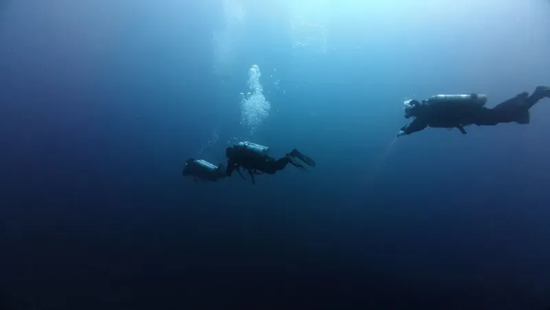 Artificial Reefs For Marine Life Will Be Produced Using 3D Printing.