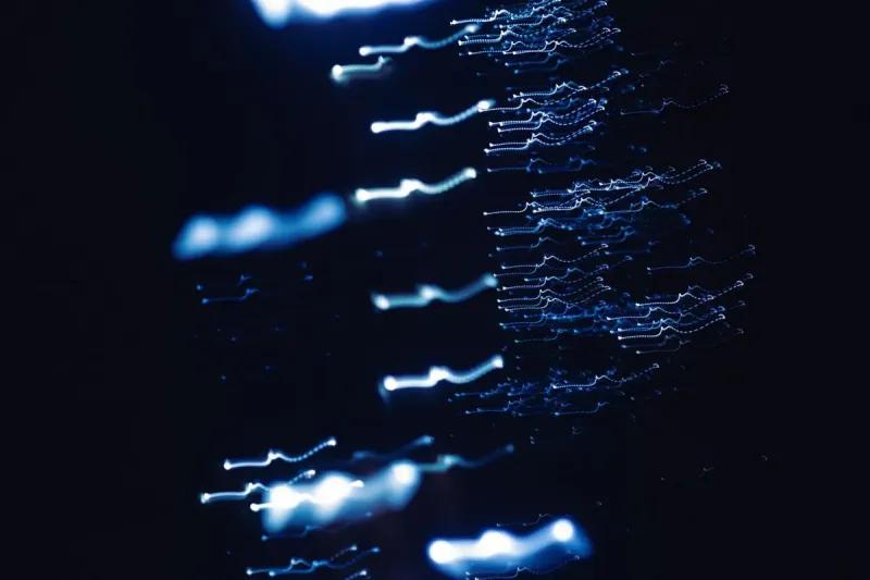 Multimodal AI Models Process Text, Images, Audio And Video Simultaneously And Enter Mainstream Applications. Multimodal AI Models Process Text, Images, Audio And Video Simultaneously And Enter Mainstream Applications.